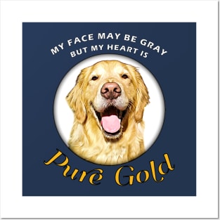 Senior Dogs are Pure Gold Posters and Art